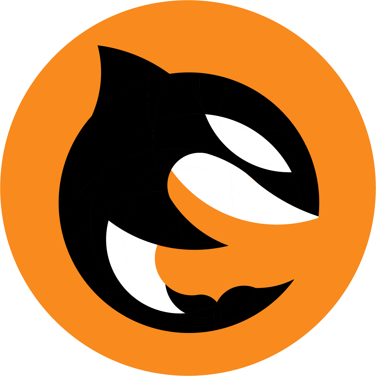Orca Official avatar